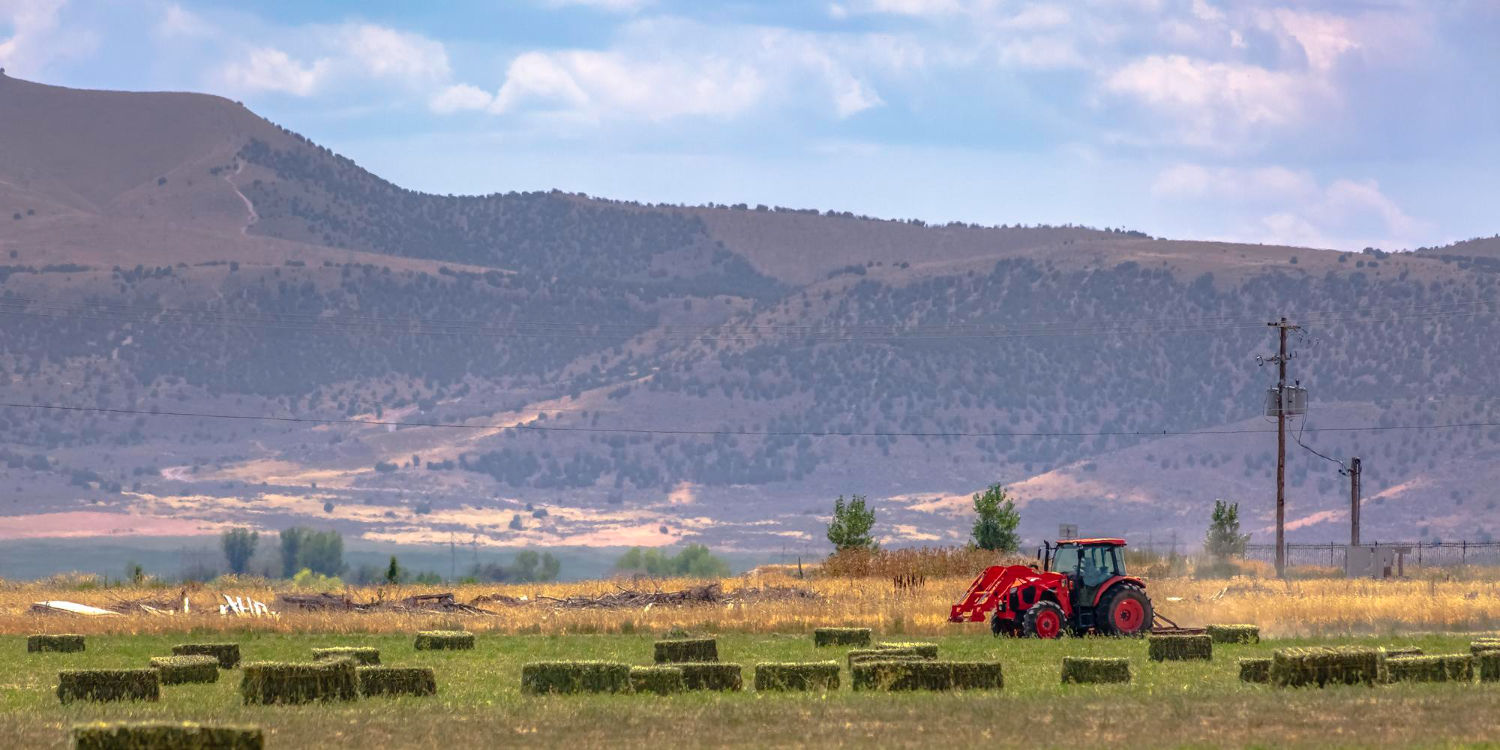 מסגריות חקלאיות