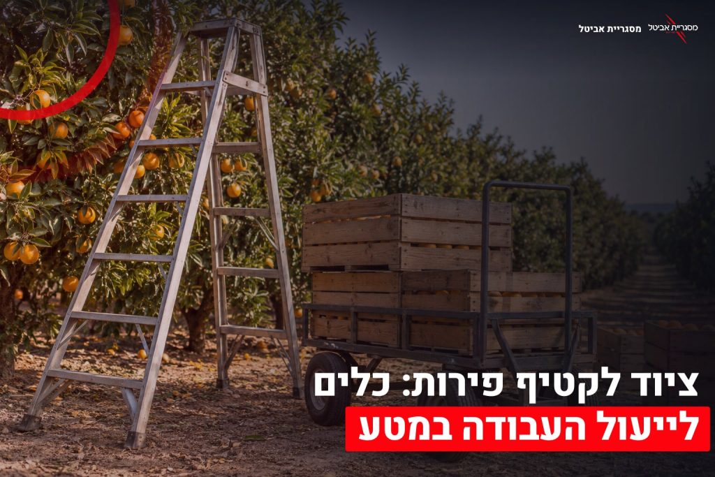 ציוד לקטיף במטע